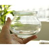 WECK Deco Shape WE901 Glass Canister, 18.7 fl oz (550