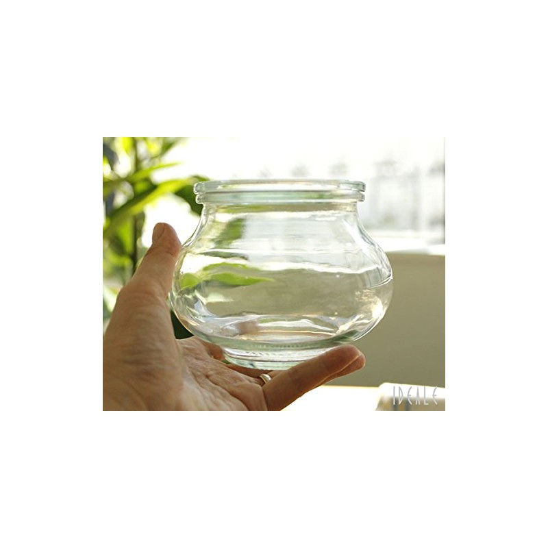 WECK Deco Shape WE901 Glass Canister, 18.7 fl oz (550