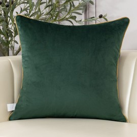 Aeckself European Luxury Velvet Throw Pillow Cover 16 x 16 Inch, Embroidery Floral Pillow Cover Home Decor Pillowcase for Couch Bedroom Living Room, Dark Emerald Green and Gold