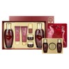 Sooryehan Hyobidam Fermented 2 Type Special Set + 3 Fermented