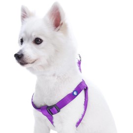Blueberry Pet Essentials Step-in Dog Harness, Large Size | Adjustable Dark Orchid Vest | Classic Solid Nylon for Boy & Girl Dogs, Chest Girth 26"-39"