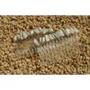 Tumbled White Howlite Stone Hair Combs (Quantity of 2)