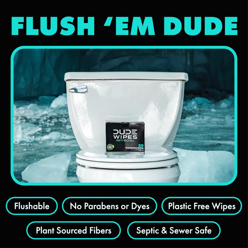 DUDE Wipes On-The-Go Flushable Wipes - 1 Pack, 30 Count