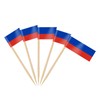 AhfuLife Russia Flag Toothpick Russian Flags Picks, 100 Pcs Small