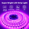 iNextStation 16.4ft Pink LED Strip Lights, 12V LED Light for