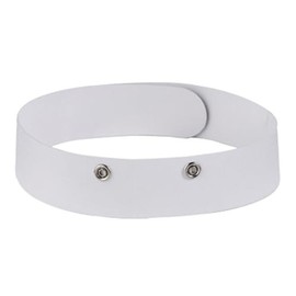 Trinity Church Supply Roman Style Collar Christian Roman Catholic Priest Clergy Liturgical Vestment for Ordinations, 20 Inch Length, Pack of 2