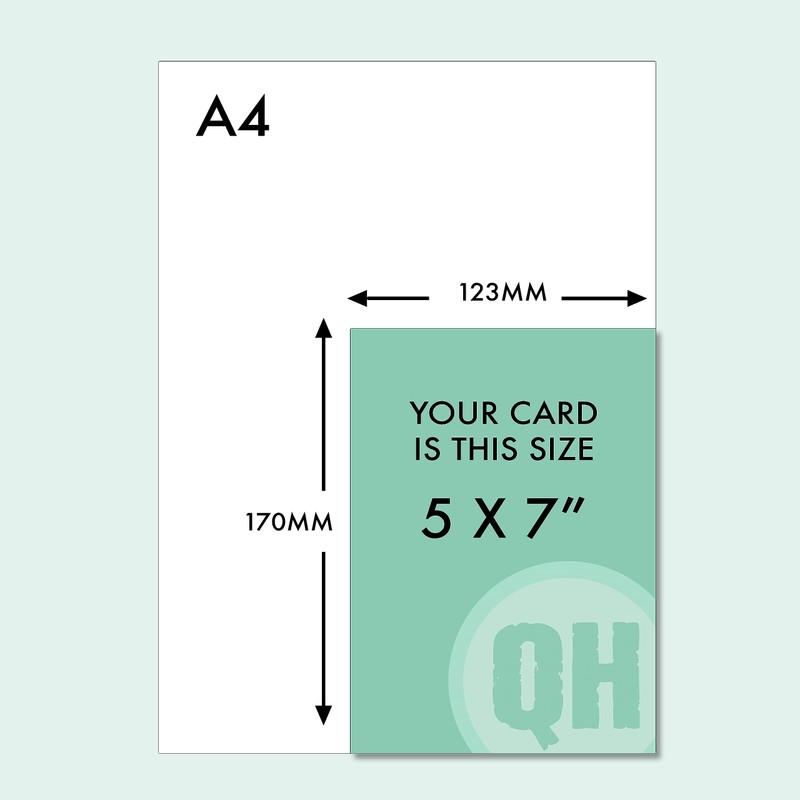 You're How Old? Cat Birthday Card