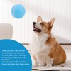 Smart Interactive Dog Ball Toy with LED Lights IP54 Waterproof