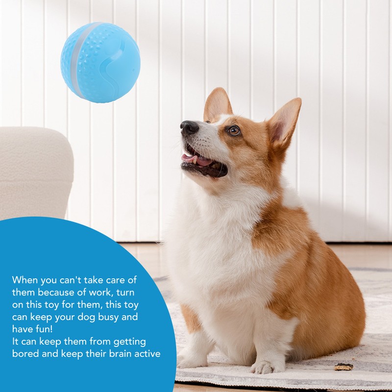 Smart Interactive Dog Ball Toy with LED Lights IP54 Waterproof