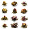 LWXLJMJZC－12pcs Individually Wrapped Blooming Tea，Jasmine Flowering Tea, Green Tea with