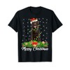 Xmas Lighting Decor Santa Labrador Retriever Dog Christmas Men Women