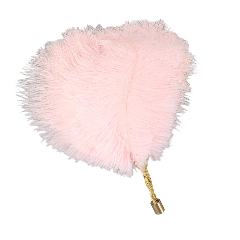 Ostrich Feather Table Lamp Rechargeable Modern Romantic Decoration Lamp Bedroom