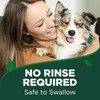 Vet’s Best Enzymatic Dog Toothpaste – Vet Formulated Dental Gel