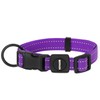 Best Pet Supplies Reflective Dog Collar with Adjustable Length, Heavy-Duty