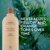 Aveda Blue Malva Shampoo | Purple Shampoo for Gray and