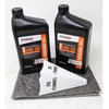 Generac A0001412874 5W20 Full Synthetic Engine Oil Quart (Pack of