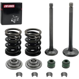 JINFANNIBI Intake & Exhaust Valve Seal Springs for Honda XL75 XL80S XL100S XR100 XR75 XR80