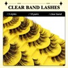 10 Pairs 5 Styles Mixed Clear Band Artificial Eyelashes Cat
