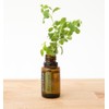 doTERRA - Marjoram Essential Oil - 15 mL