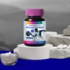 홀리데이즈 류신 단백질 타블렛 60정 1병 (총2개월분) Holidays Leucine Protein