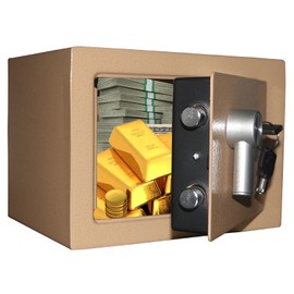 Yuanshikj Steel Safe Box - Key Locked, 0.2 Cubic Ft Small Home Safe for Cash & Jewelry (LIGHT GOLD)