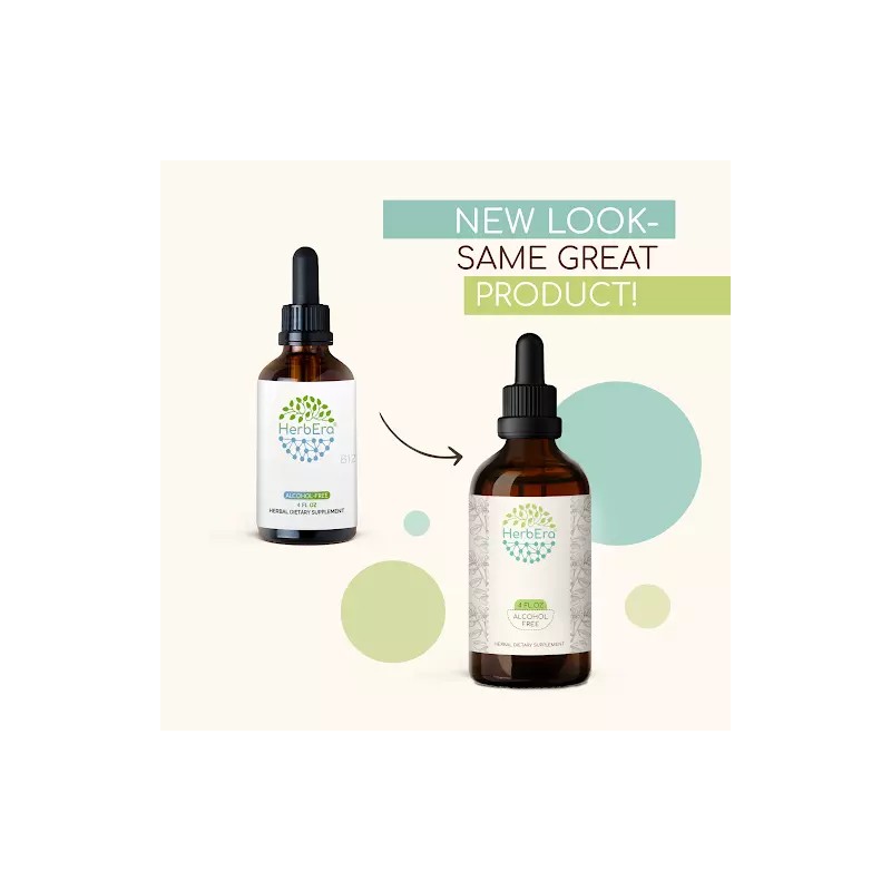 HerbEra Sarsaparilla Alcohol-FREE Tincture Organic (Hemidesmus indicus) - 4 fl