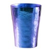 HORIE T16KM250-750 T16KM250-750 Tsubame Titanium Double Layer Tumbler, 8.5 fl oz (250 cc), Gunblue