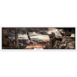 The KING Company Mule Deer Print by Robert King