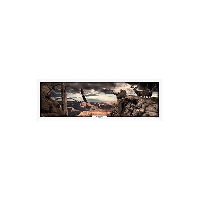 The KING Company Mule Deer Print by Robert King