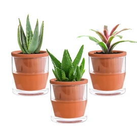 D'vine Dev 4 Inch Design Self Watering Pot for Indoor Plants, Terracotta Planter with Cylinder Glass Cup, Set of 3, 372-A-3