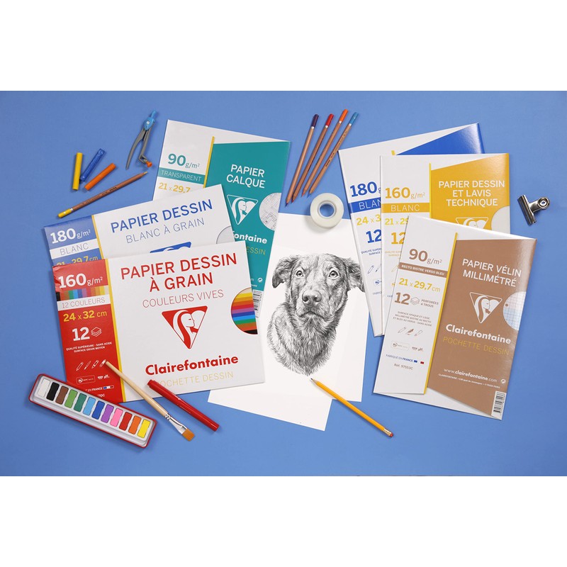 Clairefontaine - Ref 97528C - White Vellum Graph Paper (12