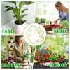 Zalizr 5 PCS Plant Stem Support, Metal Monstera Stabilizer Grapple