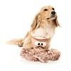 Fuzzyard Octo-Posse Plush Octopus Dog for All Sized Breed Dogs(Sir