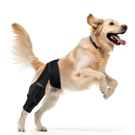 Dog Knee Brace Support for Torn ACL Hind Leg, Adjustable Back Wrap for Recovery & Prevention of Joint Injuries, Canine Cruciate Ligament Compression, Rear ACL Hock Ankle Supportive Fit (M)