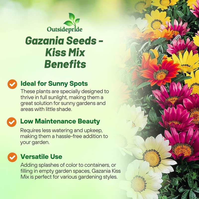Outsidepride Kiss Mix Gazania Seeds for Planting – 25 Pcs