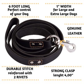 ADITYNA Heavy Duty Leather Dog Leash 6 Foot - Strong and Soft Leather Leash for Extra Large, Large and Medium Dogs - Dog Training Leash