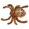 Nosferatu Francis Cuddly Toy Spider Brown