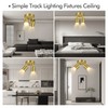 2 Light Track Lighting Fixtures Ceiling, Gold Round Directional Ceiling