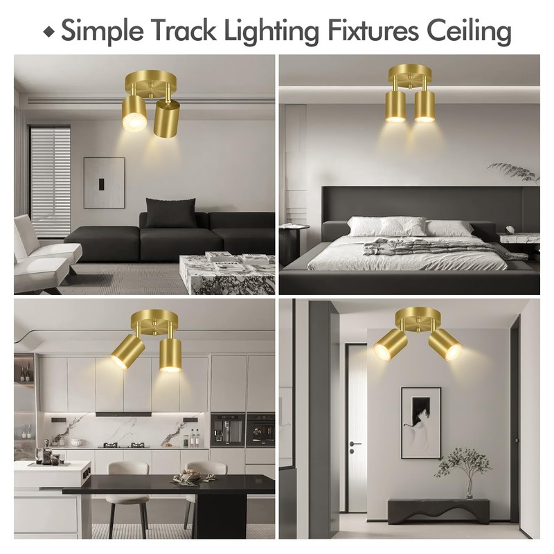 2 Light Track Lighting Fixtures Ceiling, Gold Round Directional Ceiling