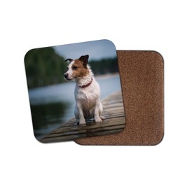 1 x Cute Jack Russell Terrier Coaster - Dog Puppy Funny Animal Pets Lake #15618