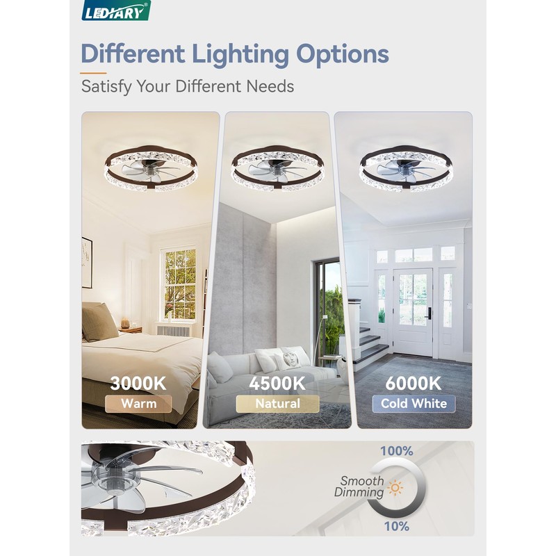 LEDIARY 20 Inch Low Profile Ceiling Fans with Lights and