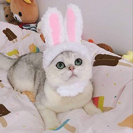 Juego de 2 pelucas de melena de león para disfraz de gato, conejo, sombrero de conejo con orejas, cosplay, disfraz de Halloween, accesorios para gatos y perros pequeños