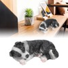Fdit Garden Dog Statues, Resin Border Collie Sculptures Synthetic Border