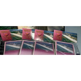 Unbranded Clearwater Beach Florida Magnetic Notepads Set With Pen 4 Pads