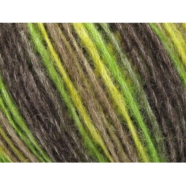 Ice Grey Green Camel Leonardo Color 78220 Ice Yarn DK Merino Organic Cotton 50g 207y