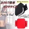 S.fields.inc Boxing Target Punch Pad Wall Mounted Mini Sandbag Wall