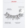 Fairy Strip Lashes That Look Like Extensions Clear Band False