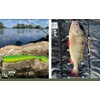 Zite Fishing Rubber Fish Zander Set - InZite Shad 12