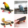 ZHEJIA Bird Toy, Mini Skateboard Toy, Pet Supplies, Educational Education,