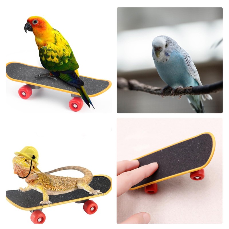 ZHEJIA Bird Toy, Mini Skateboard Toy, Pet Supplies, Educational Education,